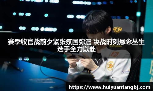 B体育登录入口APP